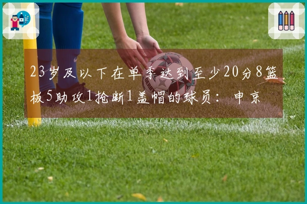23岁及以下在单季达到至少20分8篮板5助攻1抢断1盖帽的球员：申京 字母 狼王