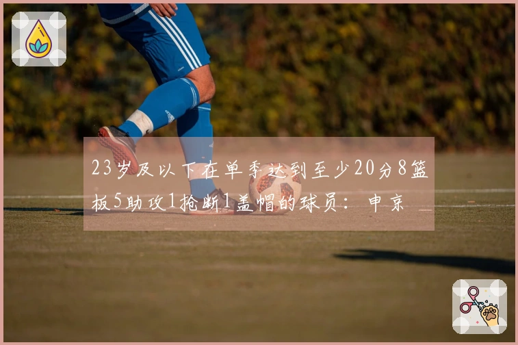 23岁及以下在单季达到至少20分8篮板5助攻1抢断1盖帽的球员：申京 字母 狼王