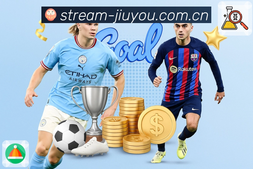 安全登录器 - 加密访问